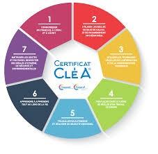clea